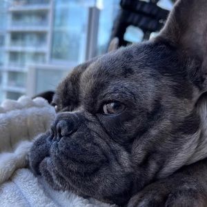 Meet your Posher, Wavvy_